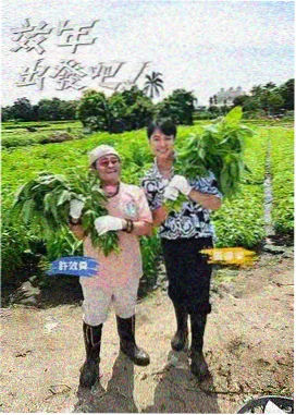 动漫肉评论区样本词频观察配图